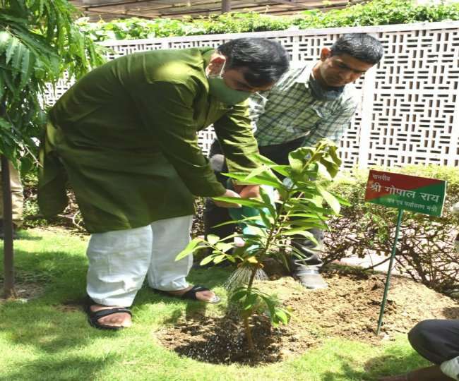 दिल्ली सरकार की 14 नर्सरी से कोई भी व्यक्ति जाकर मुफ्त में औषधीय पौधे प्राप्त कर सकता है