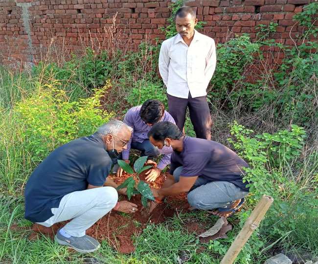 World Environment Day, Jharkhand News रांची के महानगर पर्यावरण प्रमुख दुर्गेश कुमार ने 500 पौधों का वितरण किया।