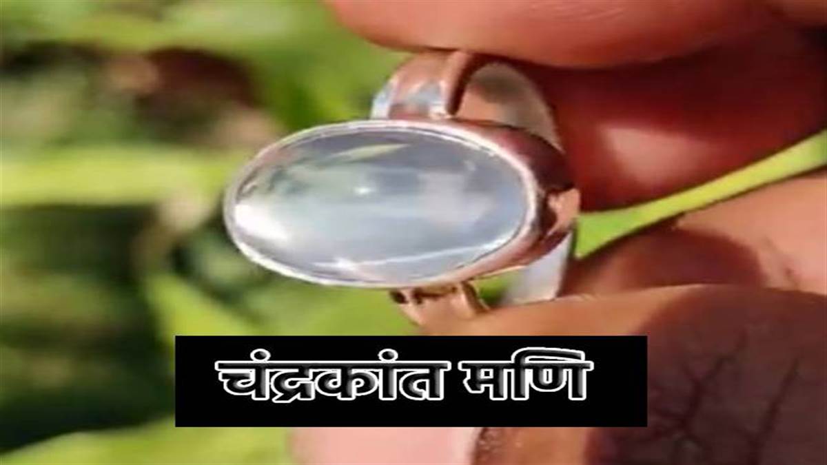 Chandrakant Mani