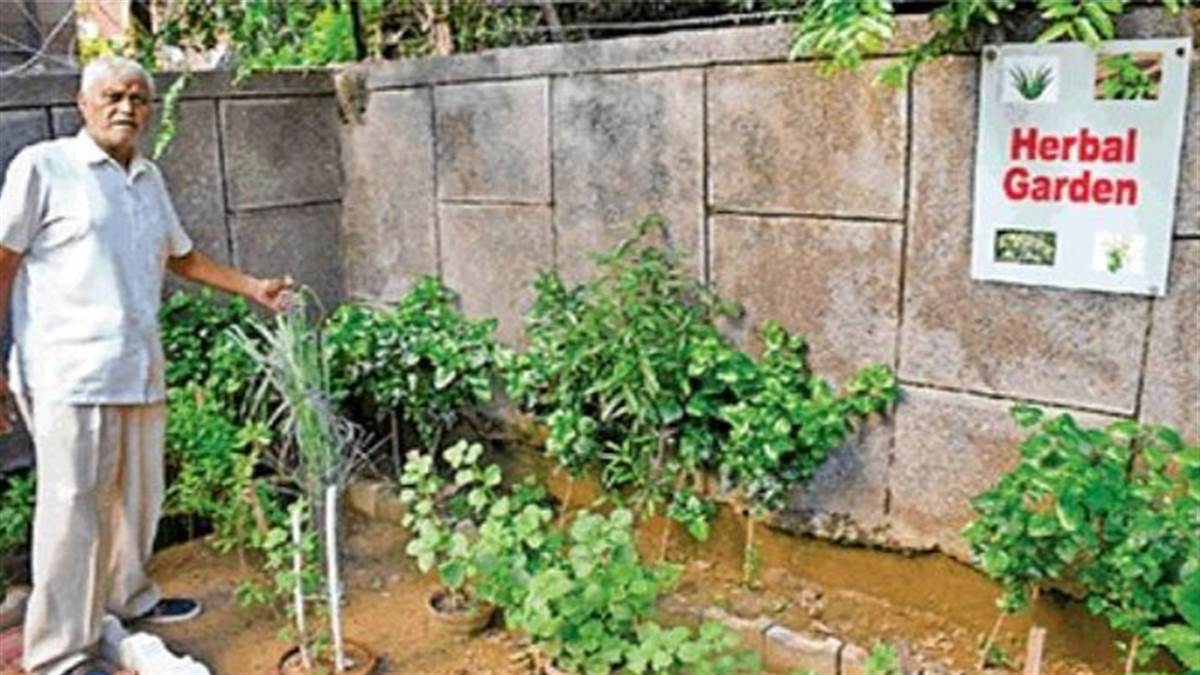गोल मार्केट आरडब्ल्यूए लगा चुका है 5 हजार से अधिक पौधे।