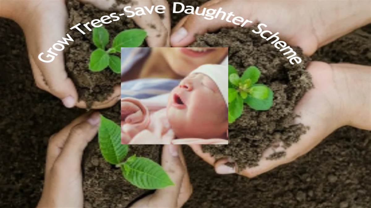 जम्मू कश्मीर सरकार बेटी बचाओ-बेटी पढ़ाओ, लाडली, सुकन्या योजना की तरह पेड़ उगाओ-बेटी बचाओ योजना शुरू करने जा रही है।