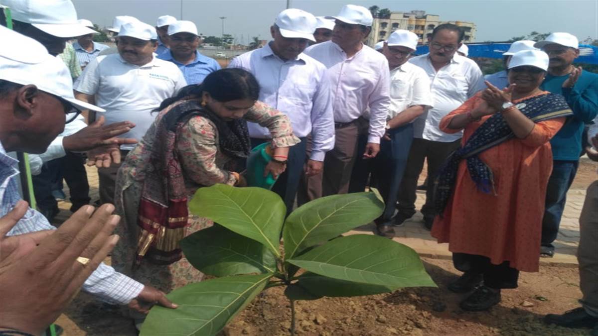 Jamshedpur News : रामनगर पार्क में 1100 सागवान के पौधे लगाए गए।