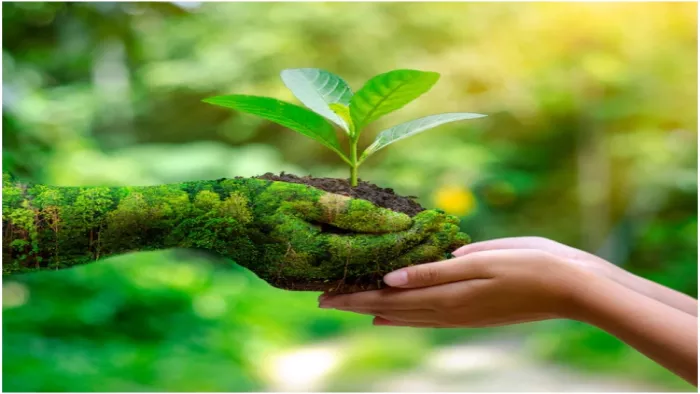 World Environment Day 2022: पर्यावरण को कैसे बचाय जाए?