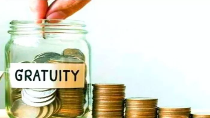 gratuity calculator for employee: important things to know