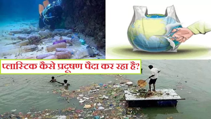 How Plastic is Causing Pollution? प्लास्टिक में कार्सिनोजेनिक रसायन से प्रजनन, न्यूरोलॉजिकल और प्रतिरक्षा से सम्बन्धित बीमारियां हो रही हैं।