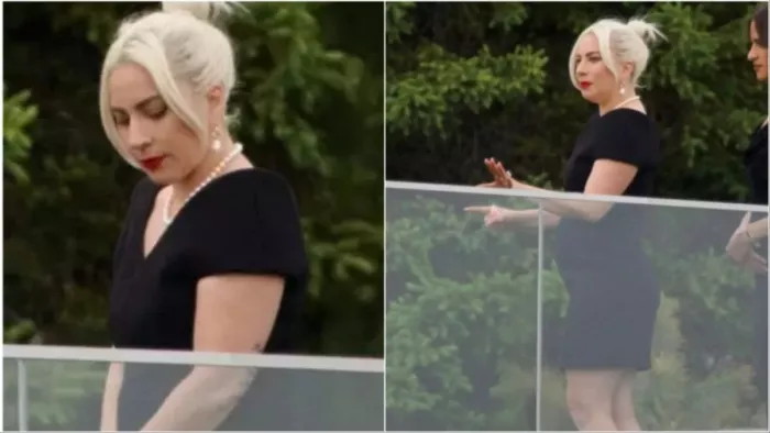 Lady Gaga Pregnant ( Photo Credit Instagram)
