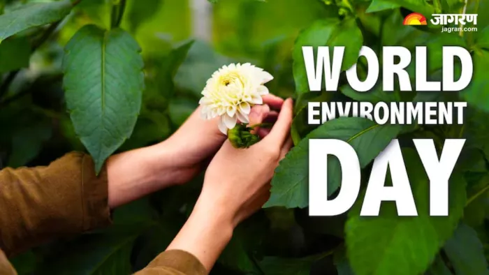 World Environment Day इतिहास, महत्व व थीम (Pic credit- freepik)