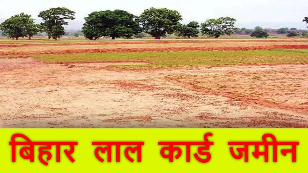 Bihar Bhumi: लाल कार्ड जमीन को लेकर हुआ चौंकाने वाला खुलासा, बिहार के जिले में एक्टिव हुए भू-माफिया
