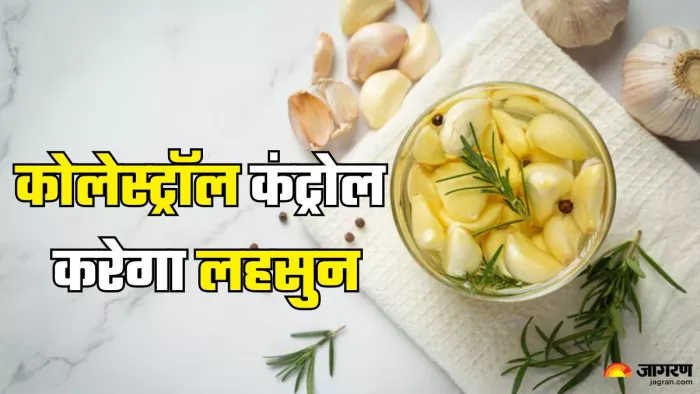 हाई कोलेस्ट्रॉल की समस्या से राहत दिलाएगा ये उपाय (Picture Credit- Freepik)