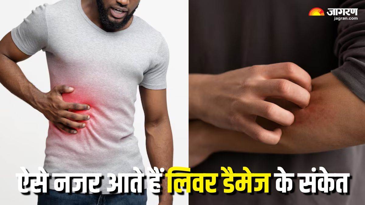 your body shows top 5 liver damage warning signs check details