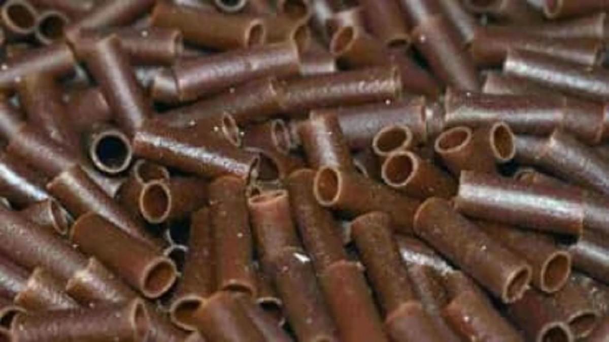 https://www.jagranimages.com/images/newimg/05062025/05_06_2025-pasta_1_23956753.jpg