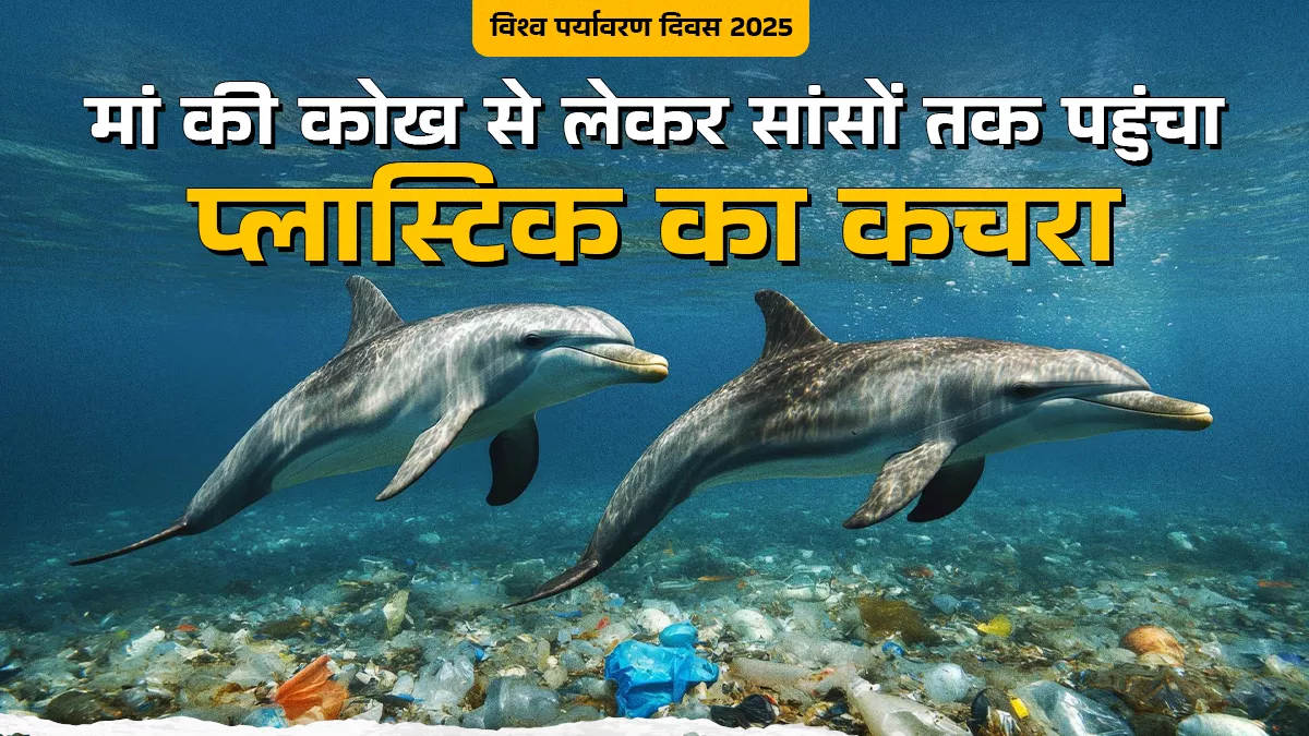 इंसान हो या पर्यावरण सभी की सेहत बिगाड़ रहा प्लास्टिक का प्रदूषण, जानिए क्या कहते हैं विशेषज्ञ