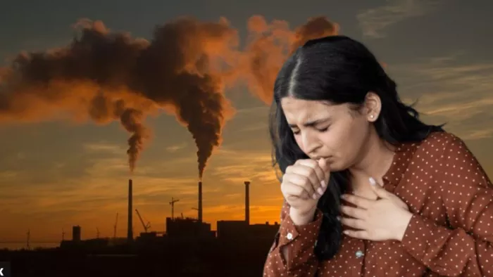 प्रदूषण के कारण कई बीमारियां बढ़ जाती हैं। (Image Credit- Freepik)
