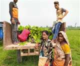 गोंडा में राष्ट्रीय ग्रामीण आजीविका मिशन के तहत एसएचजी की महिलाओं ने एक दिन में रिकार्ड 60 लाख रुपये कमाए।