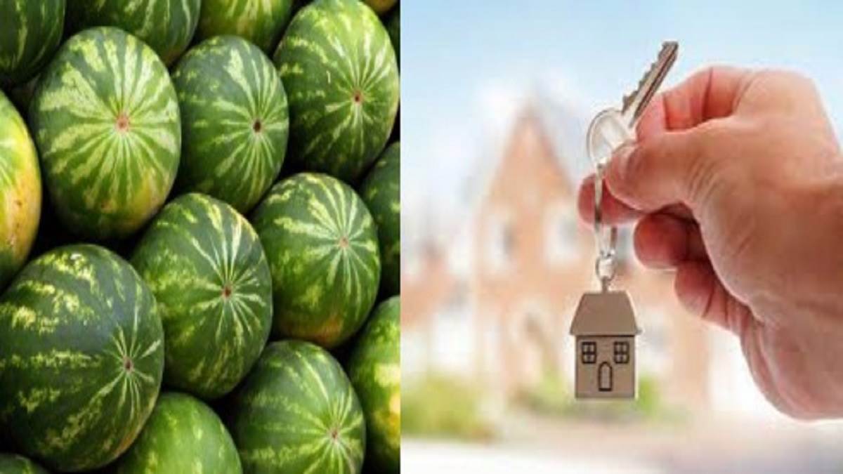 Chinese real estate developers accepting watermelons for new homes