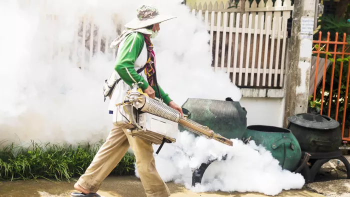 Dengue Prevention Tips: डेंगू से बचाव में बरतें ये सावधानियां
