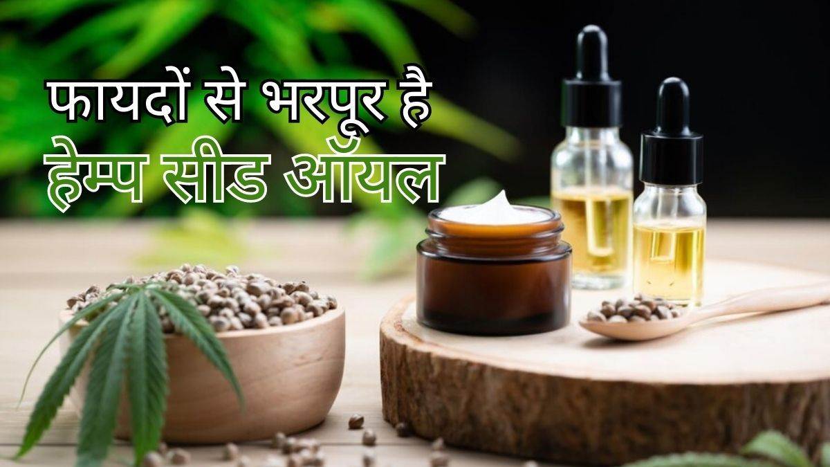 Hemp Seeds Benefits वजन कम करने से लेकर पाचन को स्वस्थ रखने तक, हेम्प