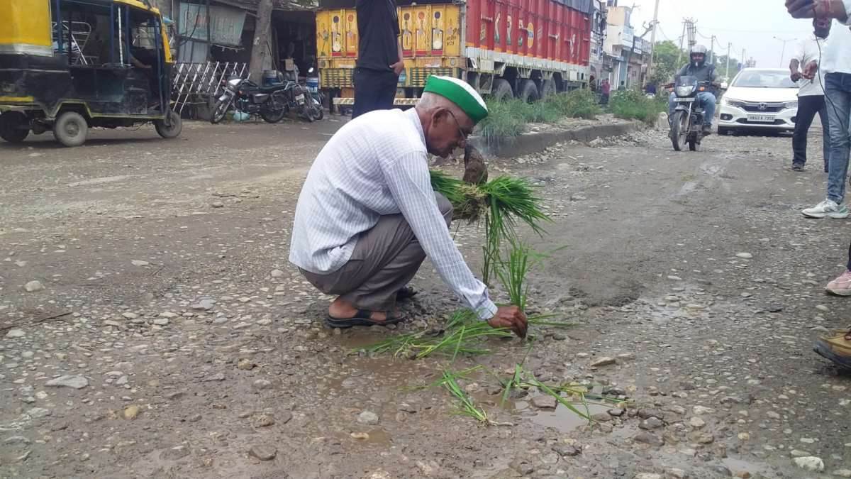 https://www.jagranimages.com/images/newimg/05072023/05_07_2023-paddy_crop_on_road_23462027.jpg