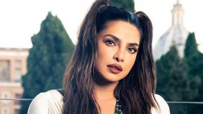 Photo Credit: Priyanka Chopra Photo Instagram Screenshot