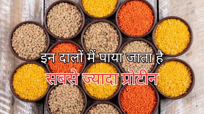 Health Tips: सेहत के लिए काफी फायदेमंद हैं ये दाल