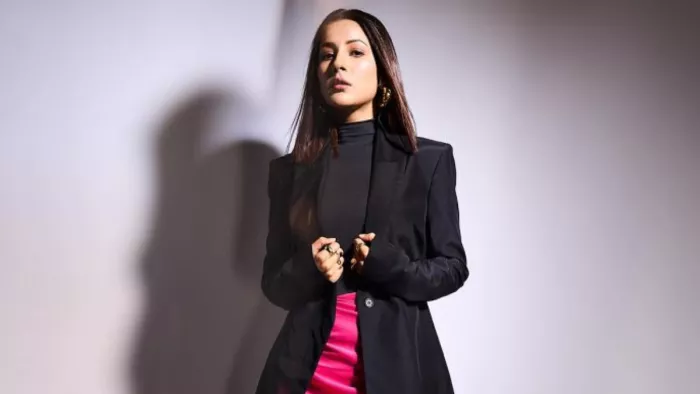 Shehnaaz Gill On Love, Shehnaaz Gill news