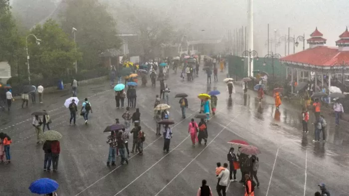 9 जुलाई तक राज्य के सभी जिलों में बारिश का यलो अलर्ट (फाइल फोटो)