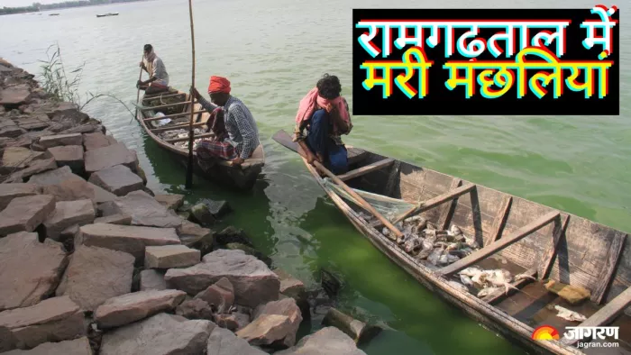 रामगढ़ताल में मछलियों के मरने से हड़कंप मच गया था। जागरण
