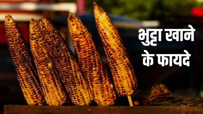 भुट्टा खाने के फायदे (Image Credit- Freepik)