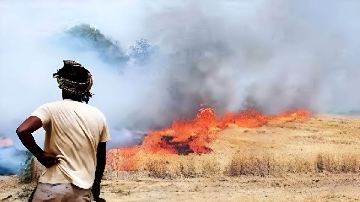 https://www.jagranimages.com/images/newimg/05072025/05_07_2025-stubble_burning_23976563.jpg