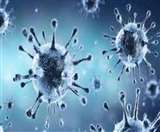 Live Chandigarh Coronavirus Update: चंडीगढ़ में 43, मोहाली में रिकॉर्ड 62 और पंचकूला में 27 केस मिले