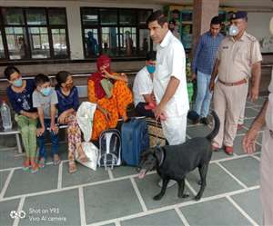 रोहतक विस्&zwj;फोट मामले में डाग स्&zwj;क्&zwj;वायड से भी करवाया गया परिसर का निरीक्षण, नहीं मिला कुछ संदिग्ध