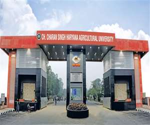 एचएयू में बताया कि तरह से सब्&zwj;जी की खेती में मुनाफा कमा सकते हैं किसान