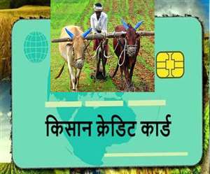 KCC for PM Kisan, Jharkhand News राज्&zwj;य में सभी जरूरतमंद किसानों को केसीसी का लाभ मिल रहा है।