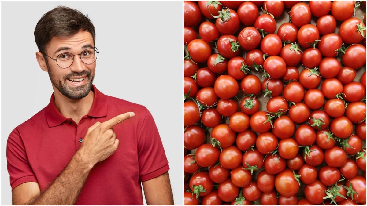 Tomato Benefits For Men: पुरुषों के लिए बेहद फायदेमंद होते हैं टमाटर, इस कैंसर का जोखिम करते हैं कम