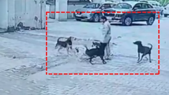 आये दिन सोसाइटी में इस तरह की घटनाएं होती रहती हैं। (फोटो- सोशल मीडिया)