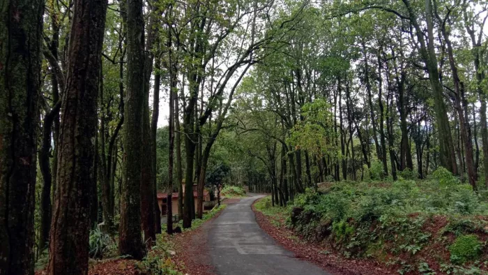 कोटद्वार में युवक-युवतियों को दिया जाएगा टूर गाइड का प्रशिक्षण