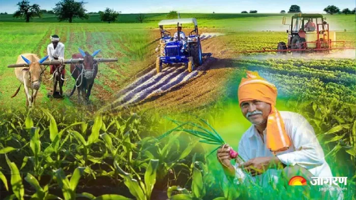 कृषि उत्पादों के विपणन को जारी किए जाएंगे यूनिफाइड लाइसेंस