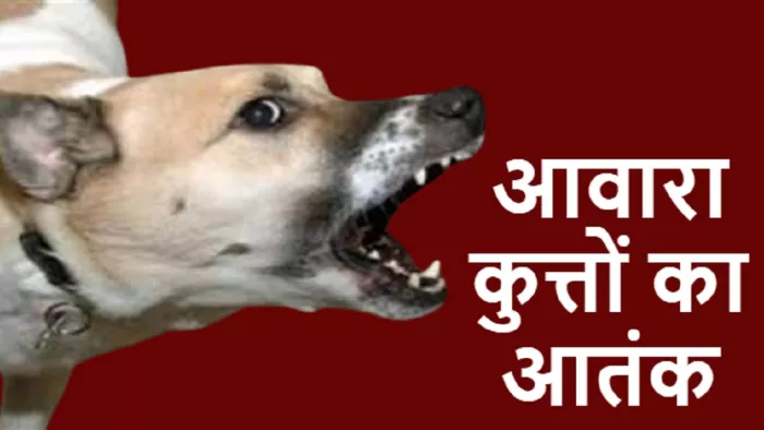गाजियाबाद में आवारा कुत्ते का आतंक, कक्षा 9 के छात्र का मुंह नोंचा।