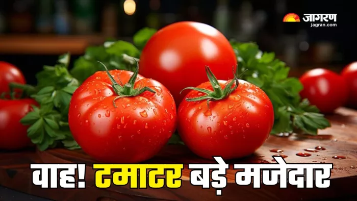 टमाटर है सेहत के लिए गुणों का भंडार (Picture Courtesy: Freepik)