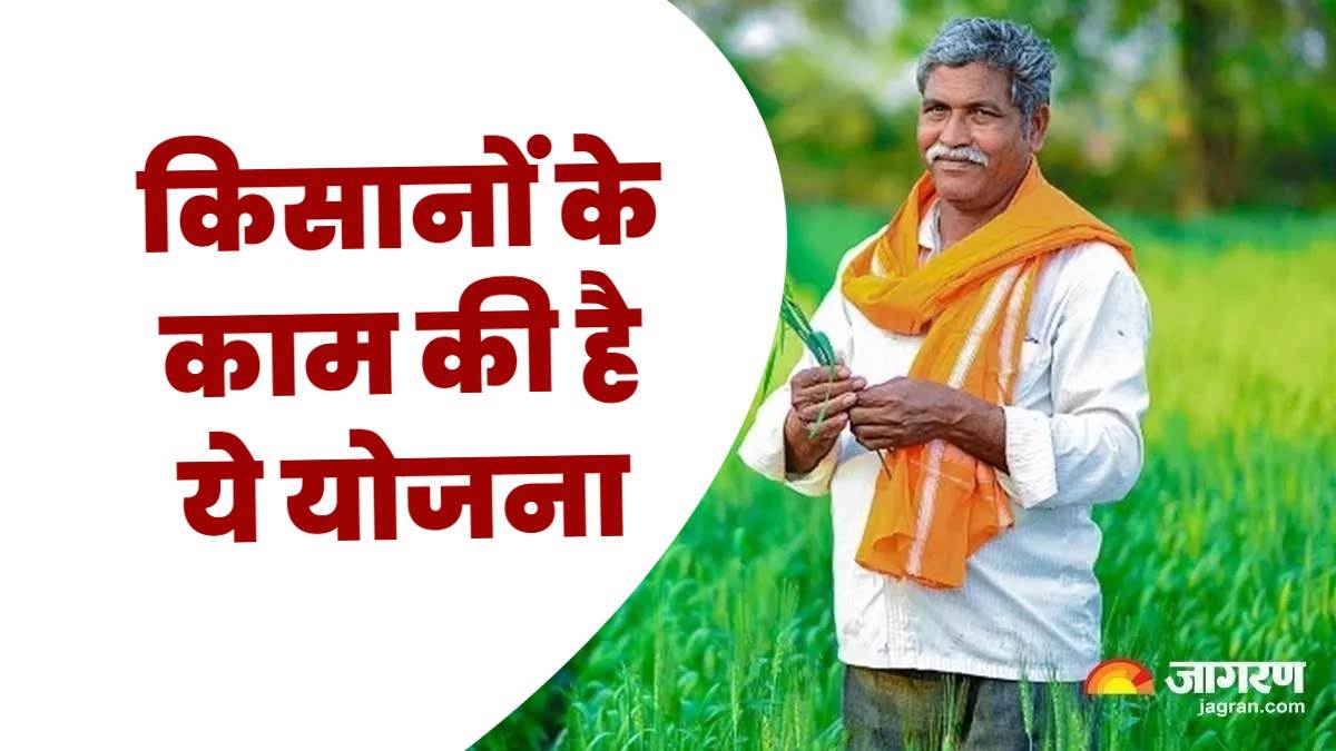 bihar farmer will get compensation relief fund in case of loss for chilli weaht lentils and mustard crop