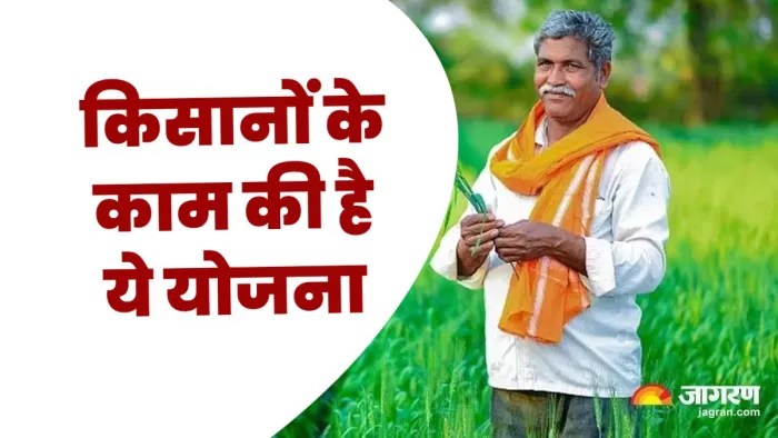 बिहार सरकार मिर्ची की फसल में नुकसान होने पर किसानों को सहायता राशि देती है।