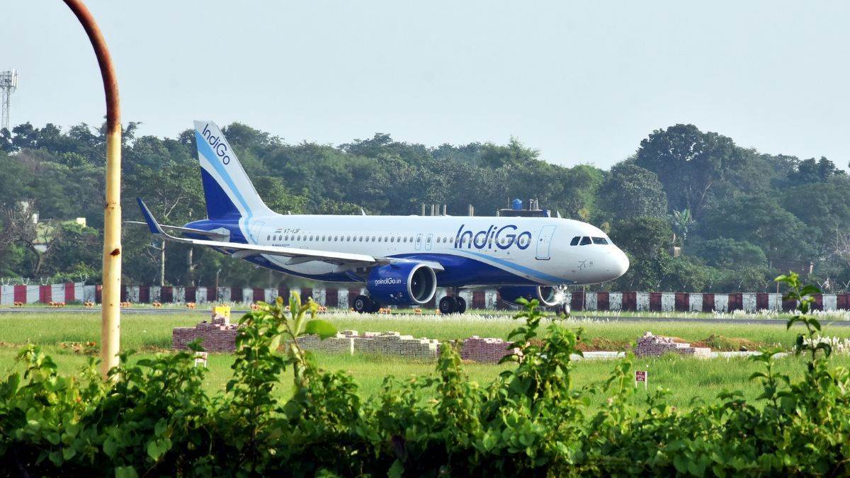 indigo flights will also have business class service from november14