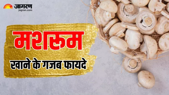 मशरूम के फायदे जान आप भी रह जाएंगे हैरान (Image Source: Freepik)