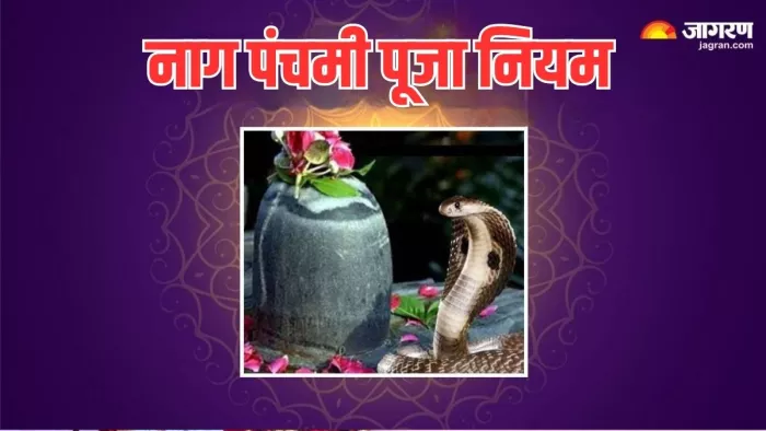 Nag Panchami 2024: नाग पंचमी पर करें इन नियम का पालन