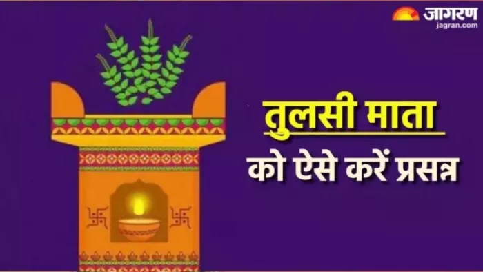 Tulsi Ke Upay: भगवान विष्णु को प्रिय है तुलसी का पौधा
