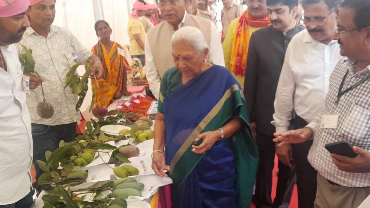 up news governor anandiben patels basti visit schedule and preparations