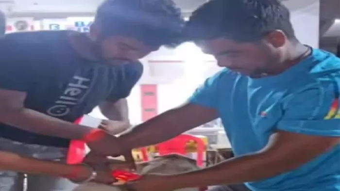 आवारा घूमने वाले पशुओं के गले में बांधी जा रही रेडियम पट्टी।