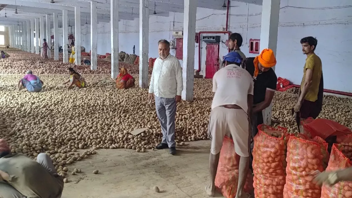 उत्तर प्रदेश के किसानों को घाटे से उबरने की आस, नेपाल व घरेलू मंडियों में बढ़ी आलू की मांग