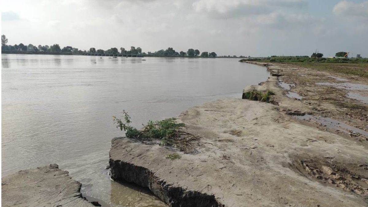 heavy rains in many districts of punjab satluj river in firozpur in spate 150 acres of crops submerged
