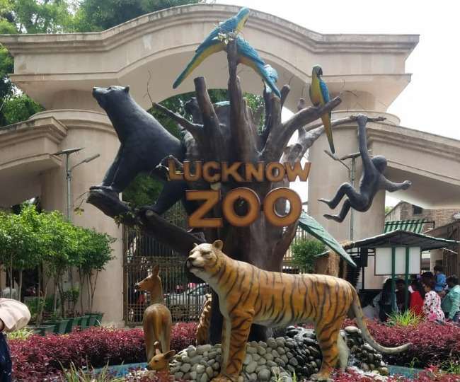 25 Lucknow zoo animals get adopted in an initiative taken by its new brand  ambassador . Sinha